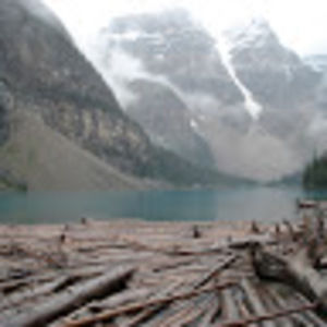 Meet your Posher, Neil